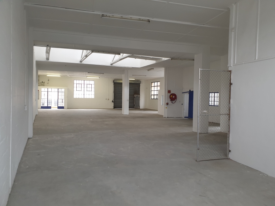 To Let commercial Property for Rent in Observatory Western Cape